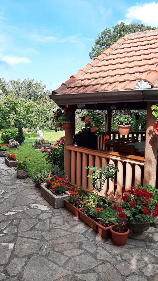 Apartmani Dukic Pelinovo Zewnętrze zdjęcie