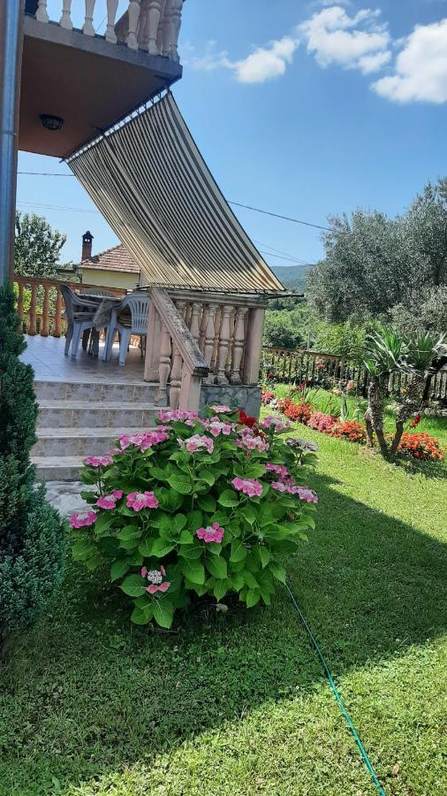 Apartmani Dukic Pelinovo Zewnętrze zdjęcie