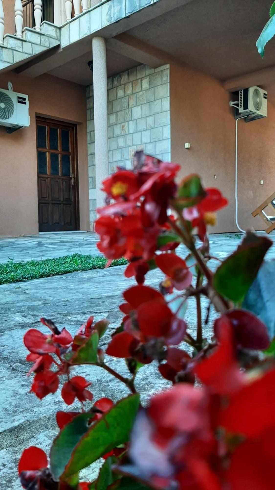 Apartmani Dukic Pelinovo Pokój zdjęcie