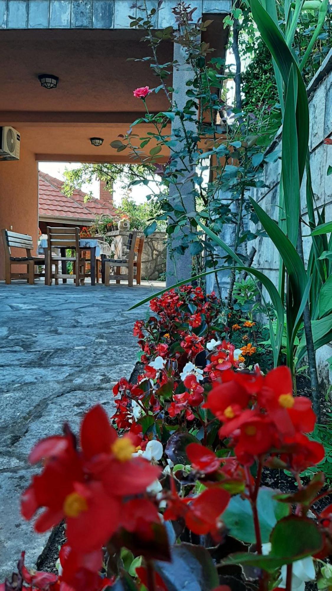 Apartmani Dukic Pelinovo Pokój zdjęcie