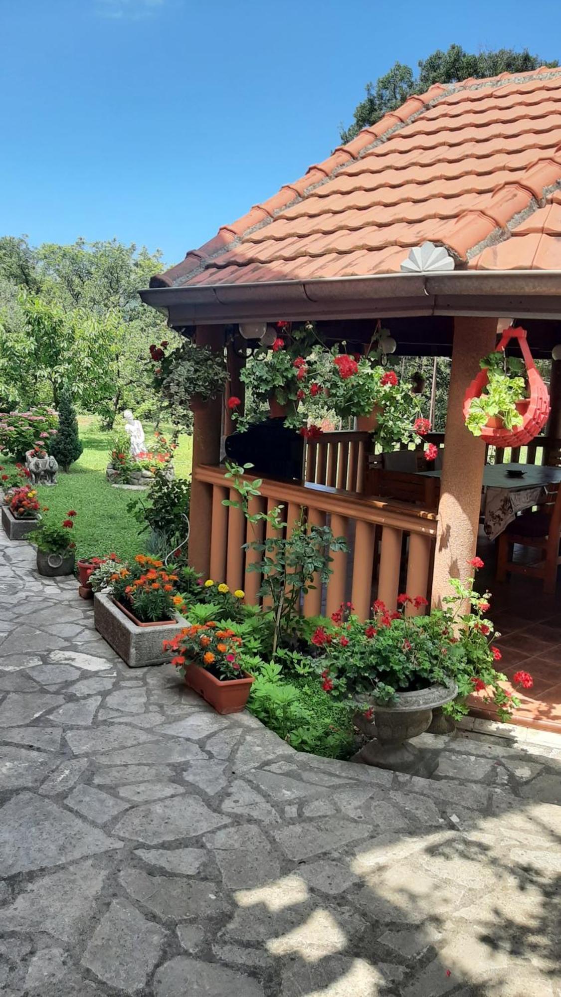 Apartmani Dukic Pelinovo Pokój zdjęcie