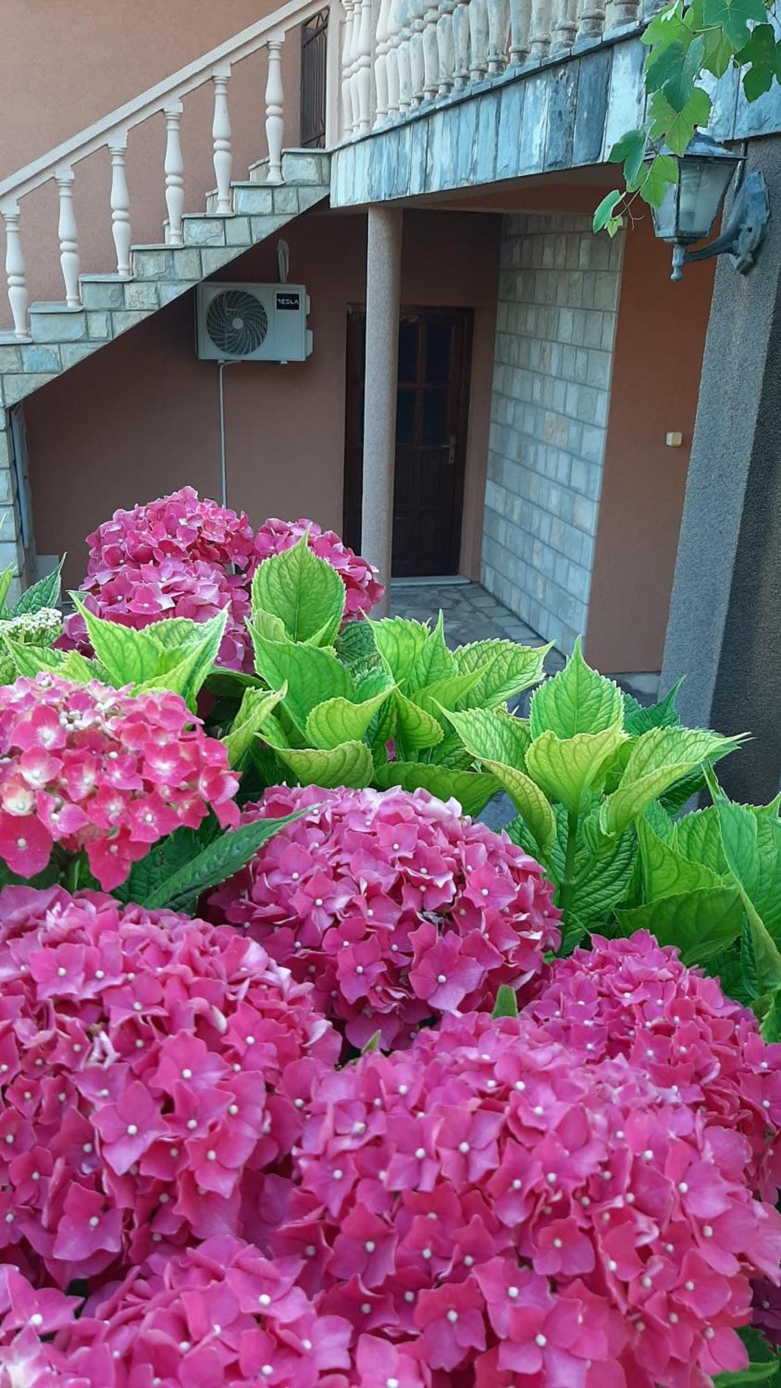 Apartmani Dukic Pelinovo Pokój zdjęcie