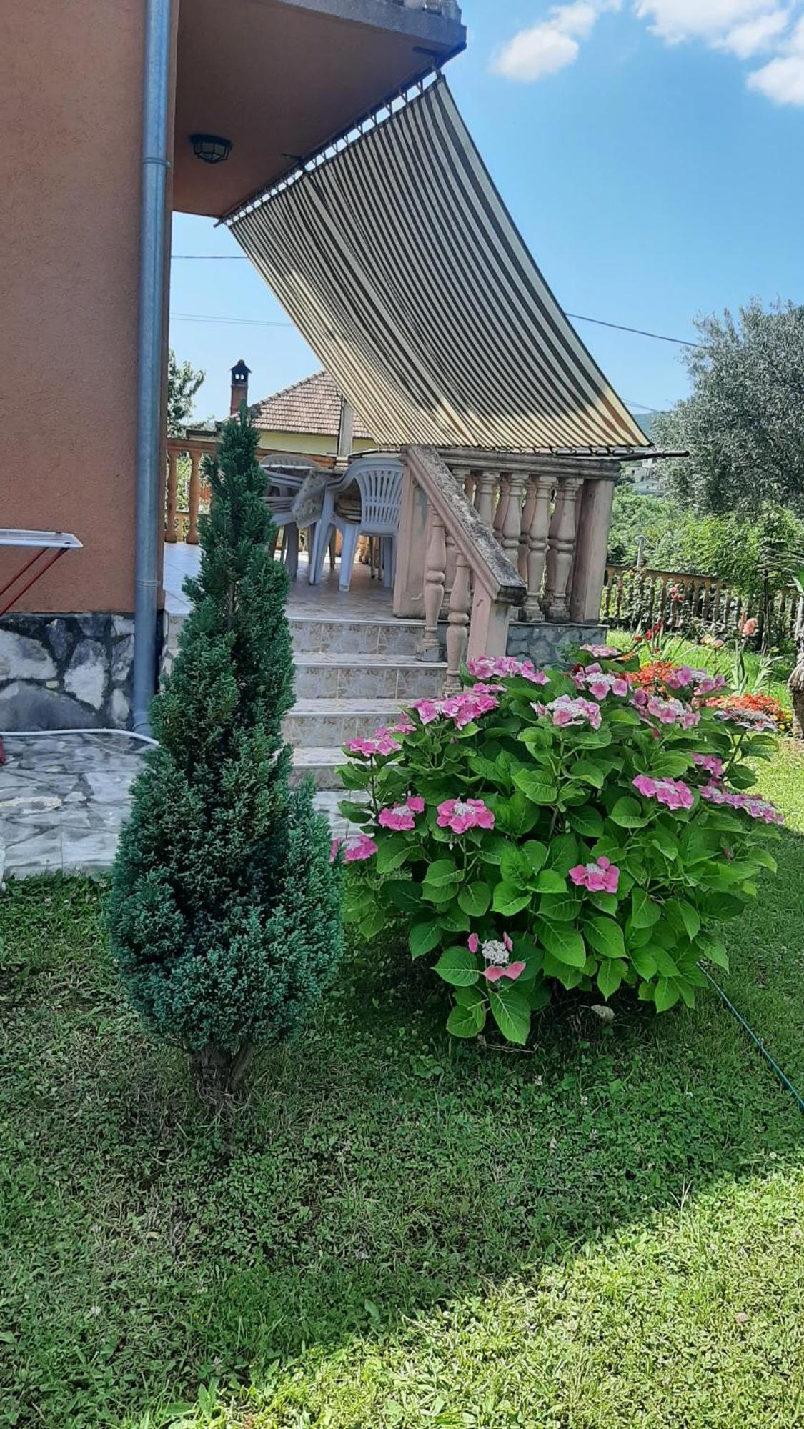 Apartmani Dukic Pelinovo Pokój zdjęcie